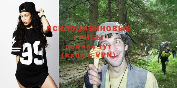 молекула духа Алексеевка