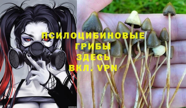 мяу мяу мука Алзамай