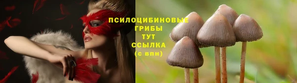 молекула духа Алексеевка