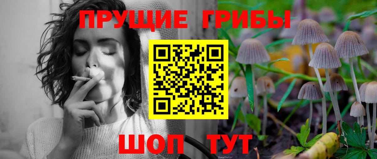 Галлюциногенные грибы Magic Shrooms Бирск
