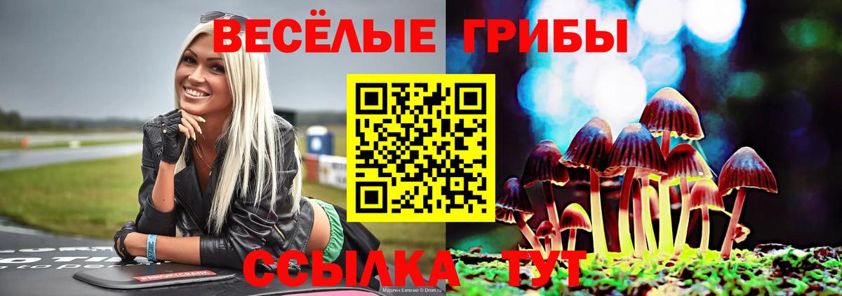 Галлюциногенные грибы MAGIC MUSHROOMS  Вход с VPN  Галлюциногенные грибы Magic Shrooms  Бирск 